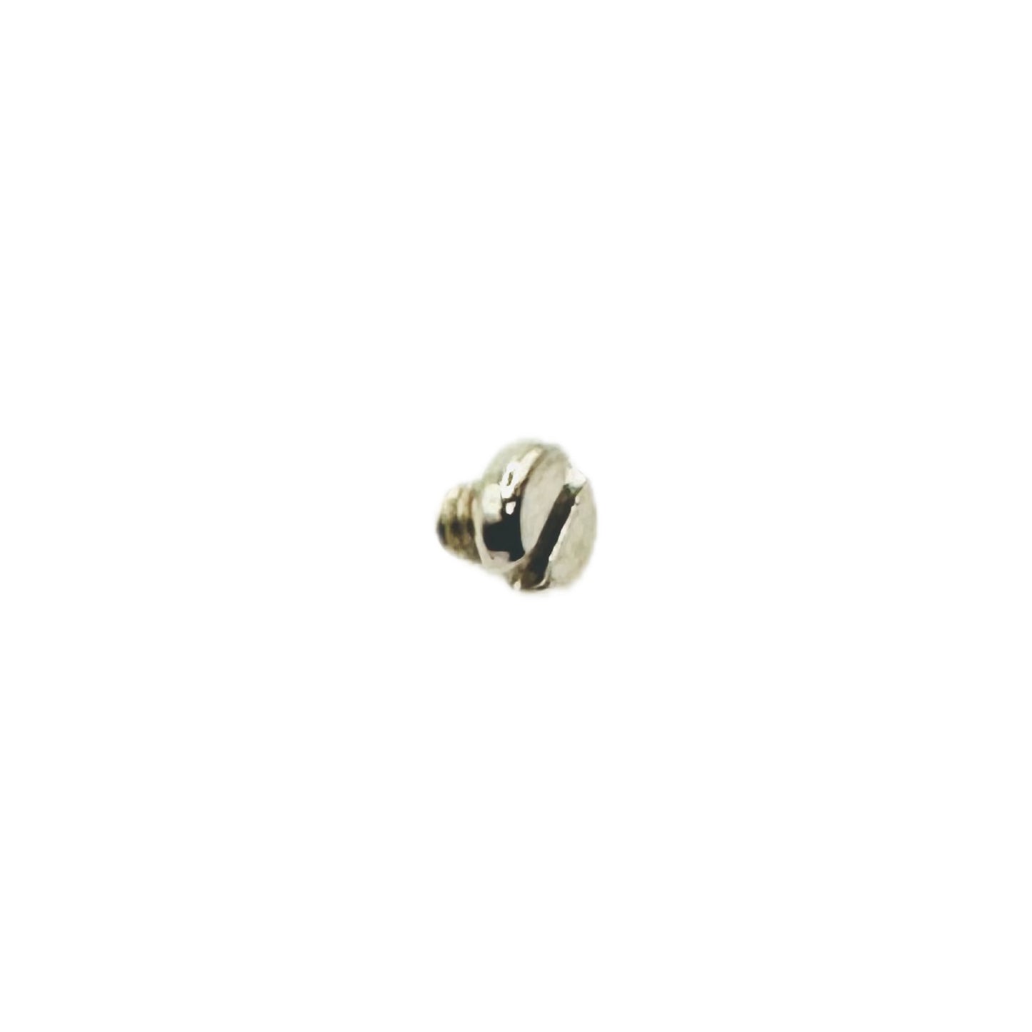 Phoenix Arms Raven Grip Screw - #128